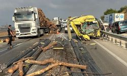 TIR, tomruk yüklü TIR'a çarptı