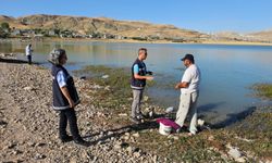 Van'daki Sıhke Gölü'nde amatör balıkçılara denetim