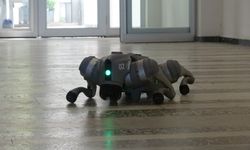 Yapay zeka destekli robotik köpekler Türkiye’de deprem hasar tespiti için kullanılacak