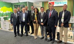 Türk Zeytin ve Zeytinyağı İhracatçıları Avustralya pazarında büyüme hedefliyor