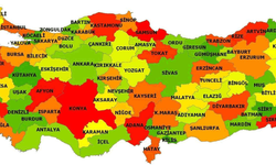 Hangi İle Ne Yedirdikleri Tek Tek Ortaya Çıktı: At, Eşek, Domuz, Katır...