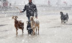 Yılın ilk karı hayatı durdurdu: Aniden bastıran kar besicileri zorladı!