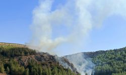 Antakya'da orman yangını kontrol altına alındı