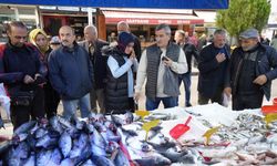 Balık tezgahları yeniden şenlendi, fiyatlar yarıya düştü