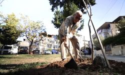 Bucalı Sami Güler 30 yıldır o parka gözü gibi bakıyor