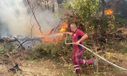 Çanakkale'de orman yangını: Ekipler müdahale ediyor