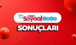 Çılgın Sayısal Loto Sonuçları 21 Ekim 2024! Büyük İkramiye Sahibini Buluyor: Bilet Sorgulama Sayfası