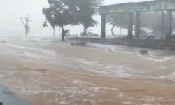 Çin’i Trami Tayfunu vurdu: 7 ölü