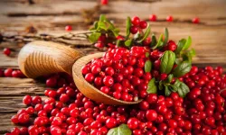 İdrar yolu sağlığına iyi geliyor, yüksek antioksidan barındırıyor: Cranberry (Turnayemişi)