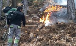 Denizli Büyükşehir Belediyesi yangını söndürmek için seferber oldu