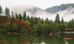 Doğanın kalbi Artvin: Yeşilin binbir tonunu keşfedin