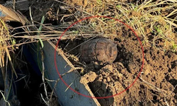 Çiftçi tarlada yüzyıllık el bombası buldu