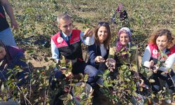 Erdek Kaymakamı'ndan kadın çiftçilere destek ziyareti