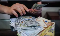 Dolar mı Euro mu? İslam Memiş'ten önemli uyarılar