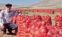 Karaman'da kuru soğan hasadı üreticiyi sevindiriyor