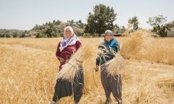 Mersin Büyükşehir Belediyesi, kadınları tarımla buluşturuyor