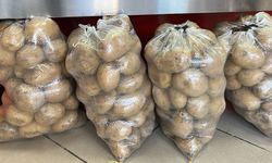 Patates, iki ilçenin geçim kaynağı oldu