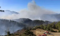 Dalaman ve Menteşe'de orman yangınları sürüyor