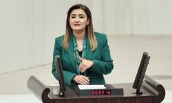 CHP'li Sevda Erdan Kılıç, kaybolan genç Serdar Akalın'ı Meclis gündemine taşıdı