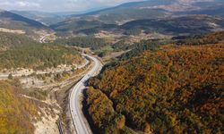 Sonbaharın renklerine çöp gölgeleri: Bolu'da çevre kirliliği artıyor