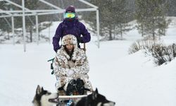 Alaska Taktiği | -40 Derecede bile üşümeyeceksiniz! Sadece 3 bitki yetiyor