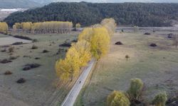 Aşıklar Yolu'nda sonbahar güzelliği