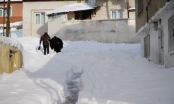 Bayburt'ta kış sert geldi, güvercinler soğuktan dondu