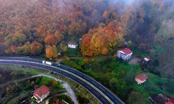 Bolu Dağı'nın manzarası sürücüleri büyülüyor