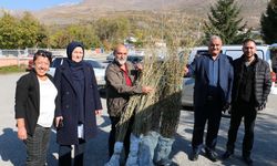 Erzincan'da Goji Berry bitkisi yetiştirilecek