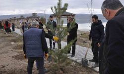 'Öğretmenler Hatıra Ormanı'na' fidan dikimi | Şehir Öğretmenler anısına hatıra etkinliği düzenlendi