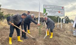 50. Yıl Hatıra Ormanı | ÖSYM'nin 50. yılında 1.500 fidan toprakla buluştu