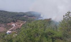 Hatay'da orman yangını: Ekipler müdahale ediyor