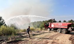 Hatay'da orman yangını rüzgarın etkisiyle büyüdü