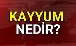 Kayyum nedir? Kayyum atamaları ne anlama gelir?