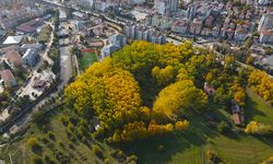 Kastamonu'da şehir ortasında sonbahar manzarası