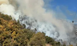 Antalya Kumluca'da orman yangını | Müdahale sürüyor