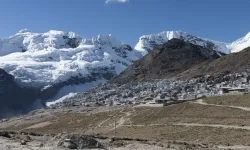 Yükseklerde altın peşinde yaşam mücadelesi