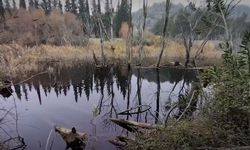 Manisa’nın az bilinen doğa harikası! Ortamı insanı sakinleştiriyor