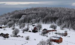 Yayla beyaza büründü: Doğaseverler dronla görüntüledi!