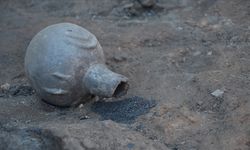 Seyitömer Höyüğü'nde 5 bin yıl öncesine ait tarım ürünleri keşfedildi