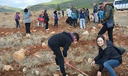 Silifke'de Öğretmenler Günü İçin 300 Fidan Dikildi