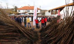 Muğla'da cennet elması üretimi başlıyor: Kavaklıdere’ye 5 bin fidan dağıtıldı