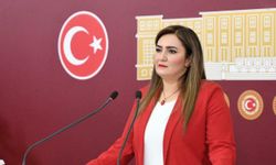 CHP’li vekil Sevda Erdan Kılıç'tan "Siyasal Alevicilik" ifadelerine tepki