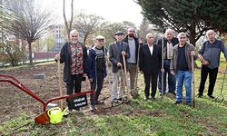 Toprakla büyüyen yaşam: "Huzur bahçesi" projesi