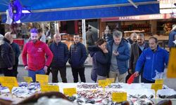 Karadeniz'in İncisi Hamsi, Palamudun Tacını Geri Aldı | Tezgahın Yeni Gözdesi: Hamsi