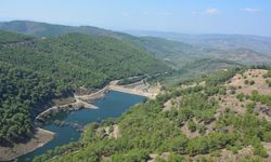 İzmir’de çok az kişi burayı biliyor! Göletin etrafındaki yemyeşil doğa sizi büyüleyecek