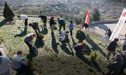 Kastamonu'da lavanta turizmi rüzgarı esti: Öğrenciler hem öğrendi hem eğlendi