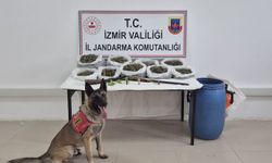 İzmir Kiraz’da düzenlenen operasyonda şüpheli yakalandı: 4 kilogram esrar ve tüfek bulundu