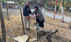 Sokak hayvanları için mama desteği yapıldı