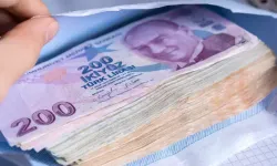 Son Dakika: Üniversite mezunlarına 1 milyon lira, girişimcilere 1.5 milyon lira faizsiz kredi | İşte başvuru şartları